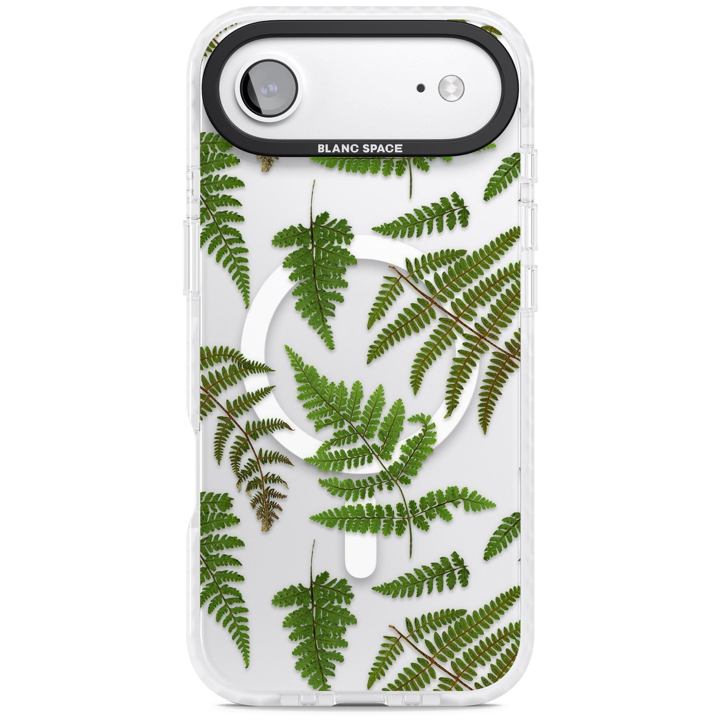 Leafy Ferns