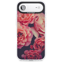 Mitternachtsrosenblüte