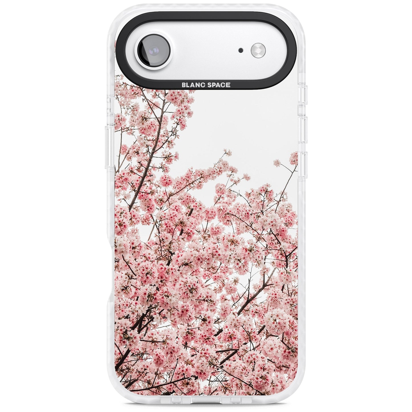 Cherry Blossom Bloom