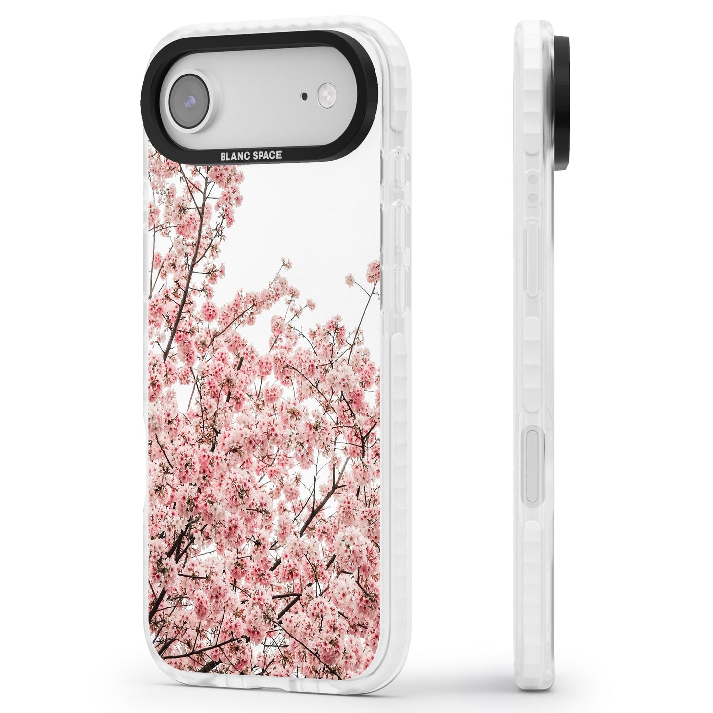 Cherry Blossom Bloom