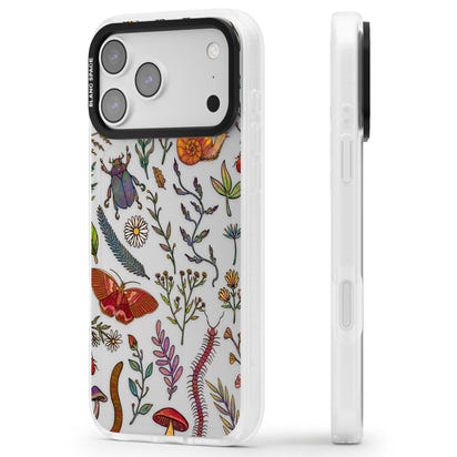 Insectes et fleurs sauvages