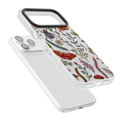 Insectes et fleurs sauvages