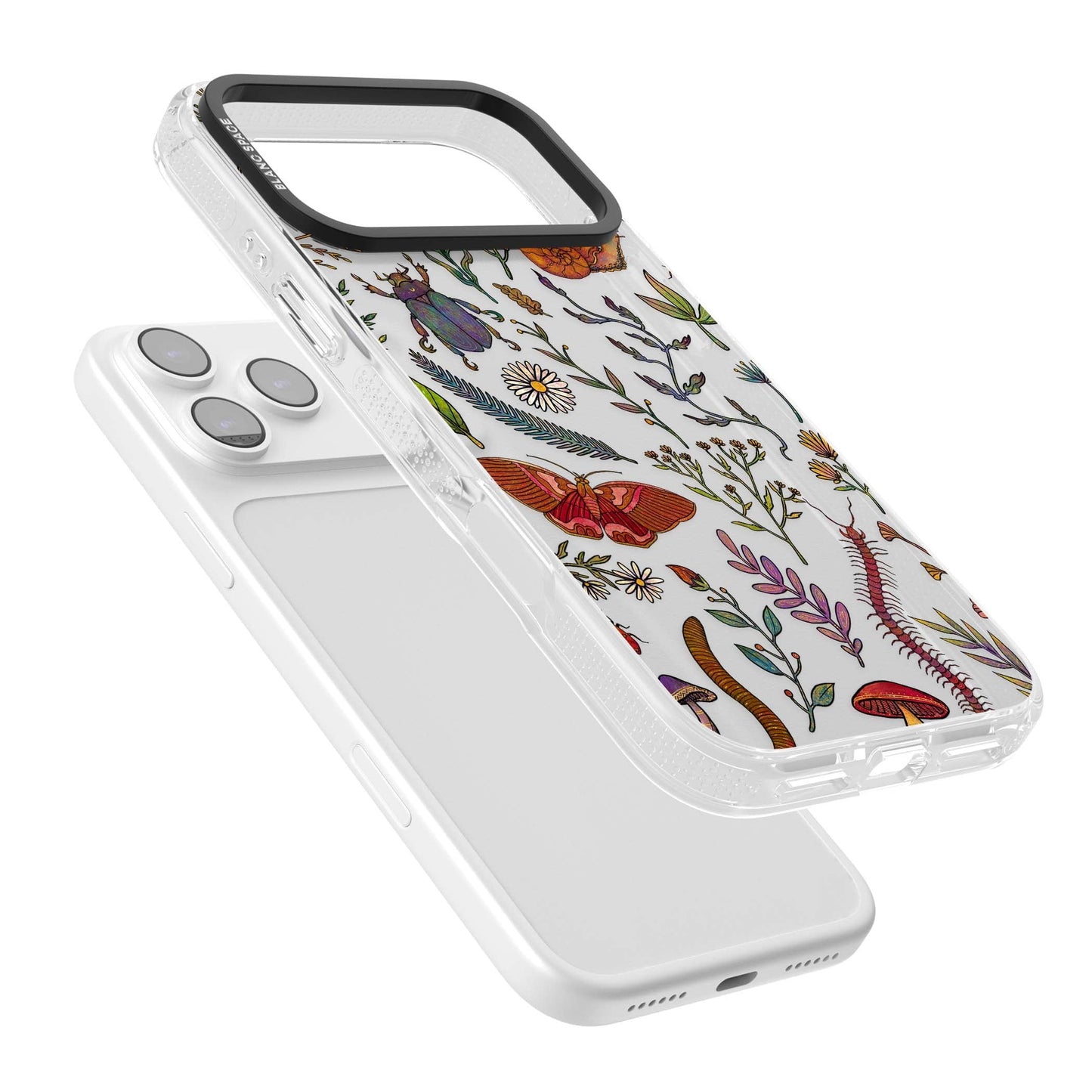 Insectes et fleurs sauvages