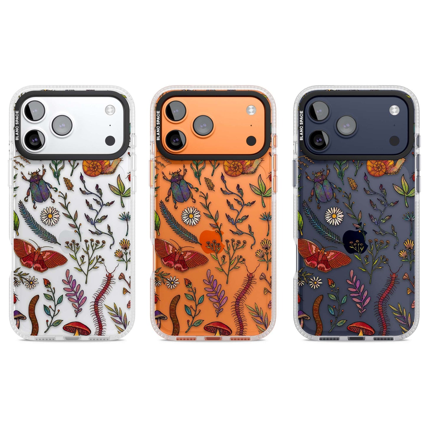 Insectes et fleurs sauvages