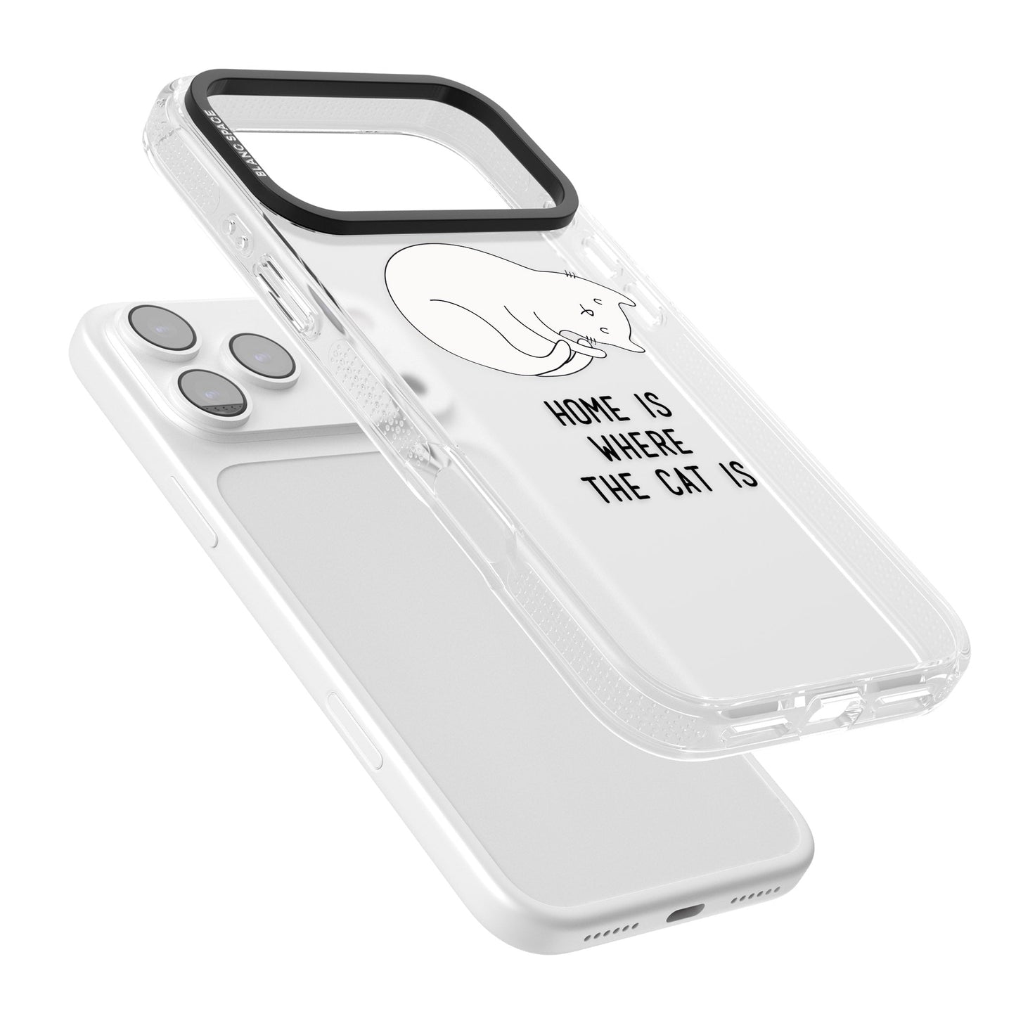 Home Is Where The Cat Is