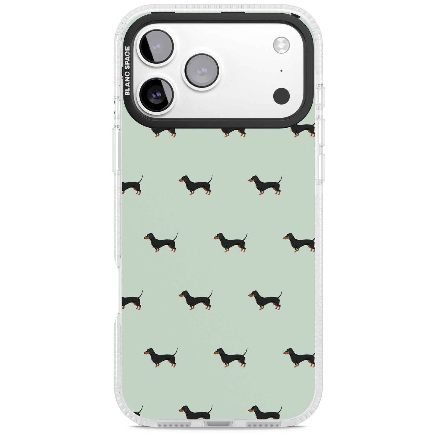 Dachshund Dog Pattern