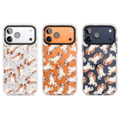 Cavalier King Charles Spaniel