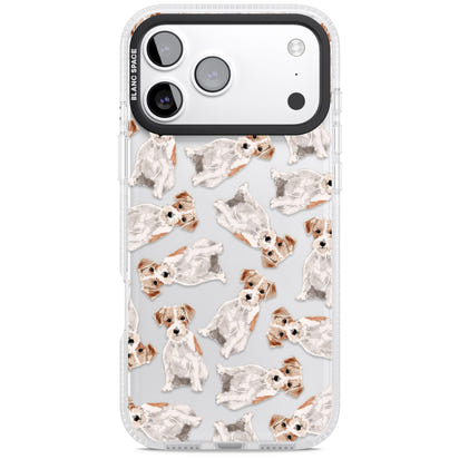 Jack Russell à poil dur fantaisiste