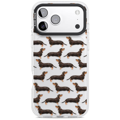 Dachshund Pattern Black Tan