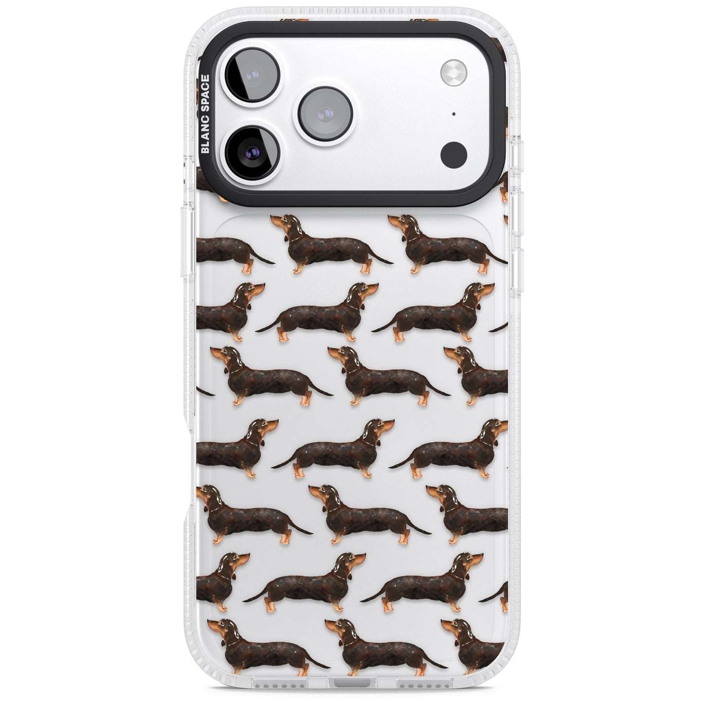 Dachshund Pattern Black Tan