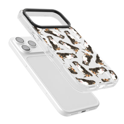 Motif du Bouvier Bernois