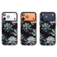 Succulent Bloom Mixed