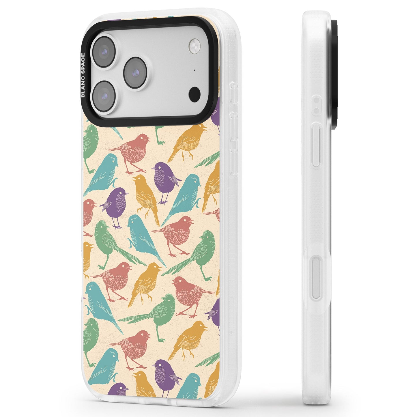 Colorful Feathered Friends