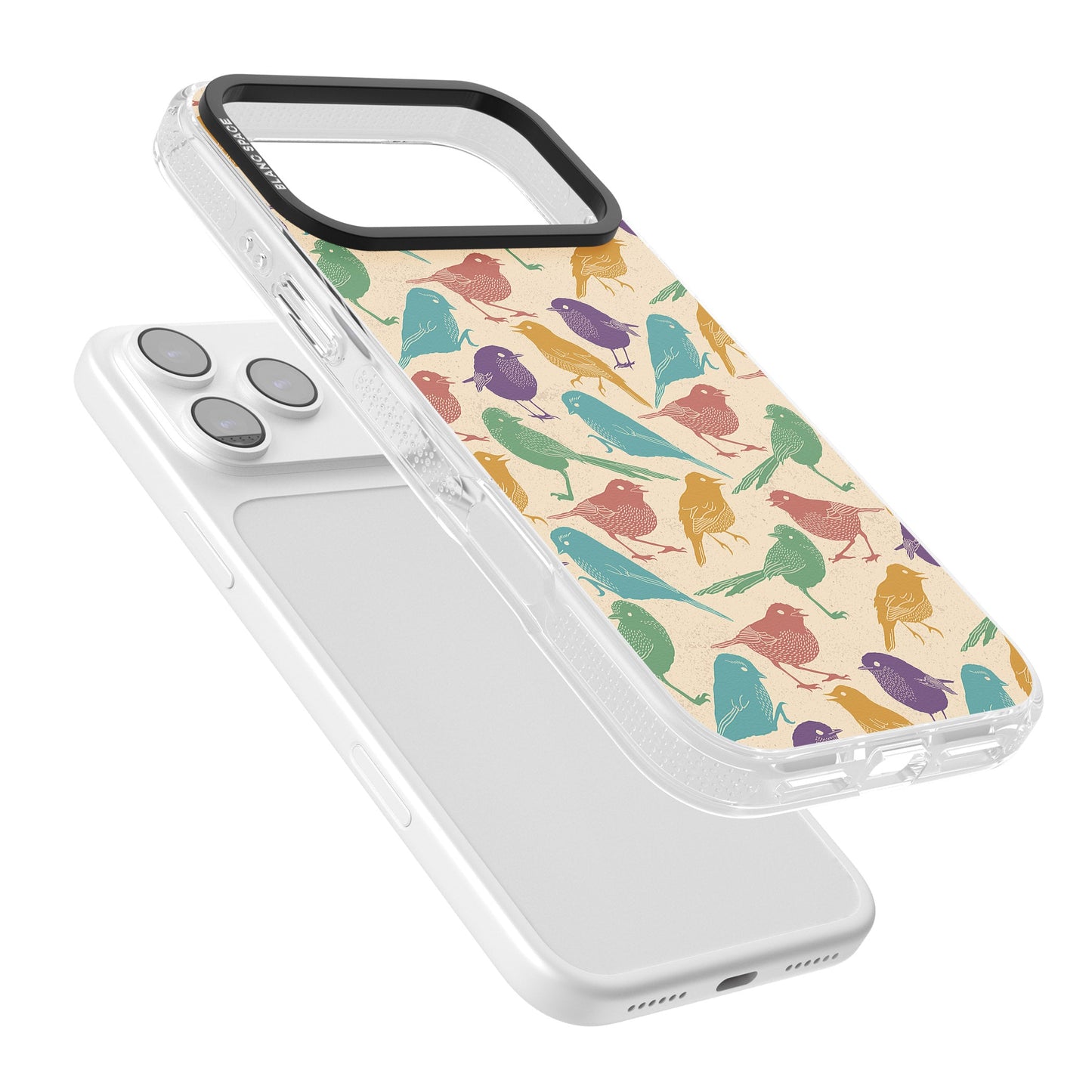 Colorful Feathered Friends