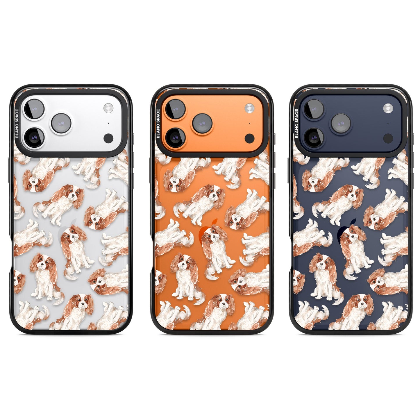 Cavalier King Charles Spaniel