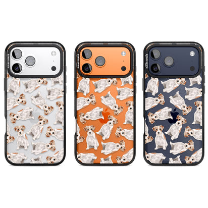 Jack Russell à poil dur fantaisiste