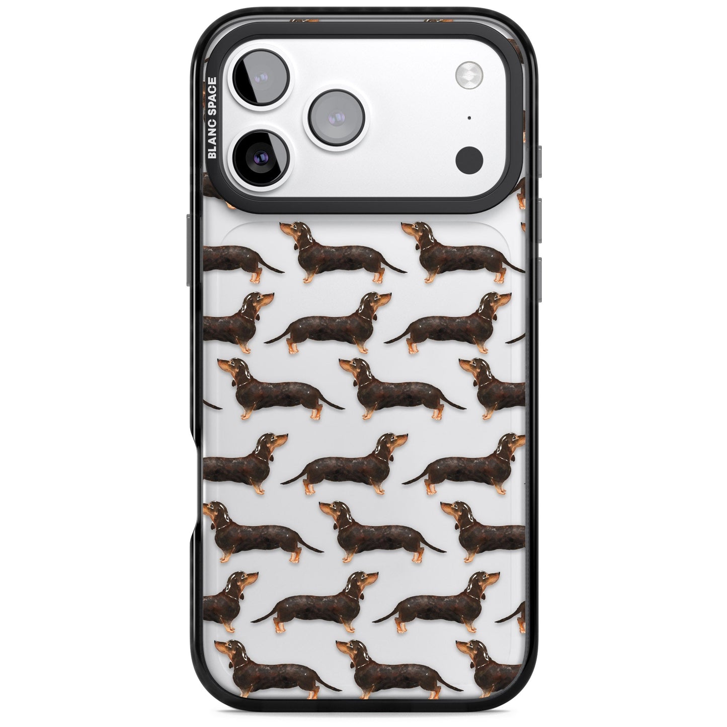 Dachshund Pattern Black Tan