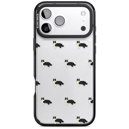 Border Collie Pattern Clear