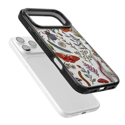 Insectes et fleurs sauvages