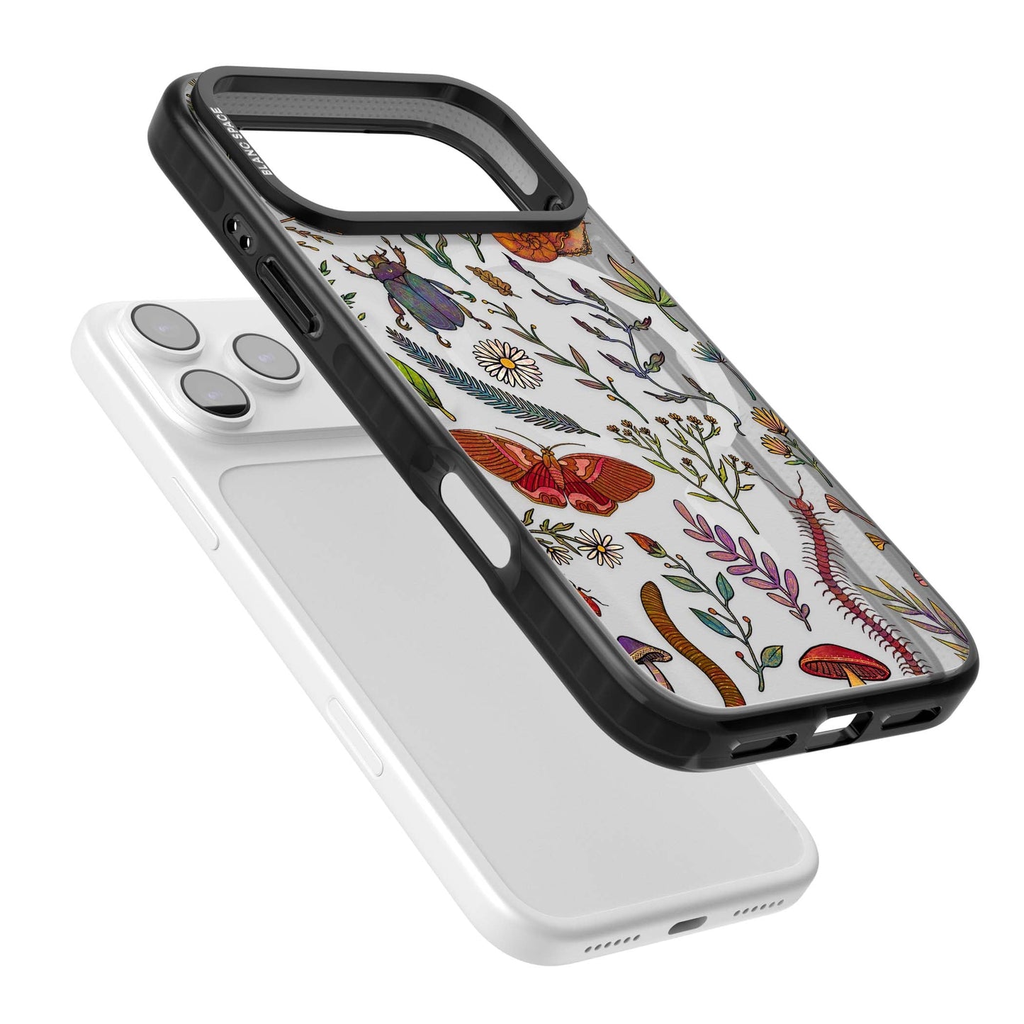 Insectes et fleurs sauvages