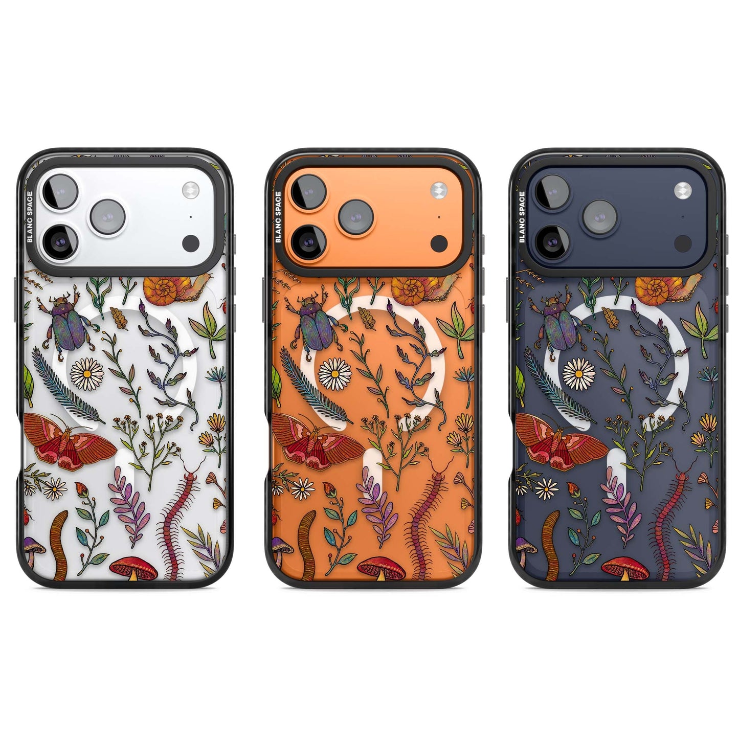 Insectes et fleurs sauvages