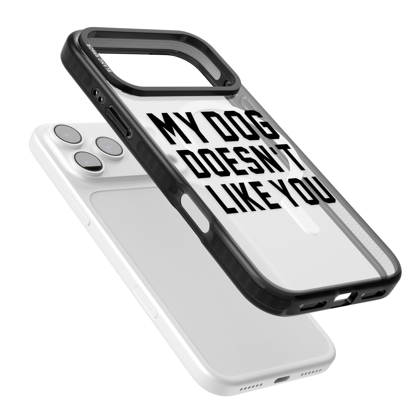 My Dog Doesn'T Like You