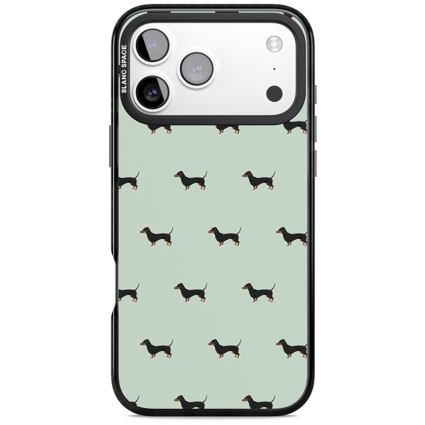 Dachshund Dog Pattern