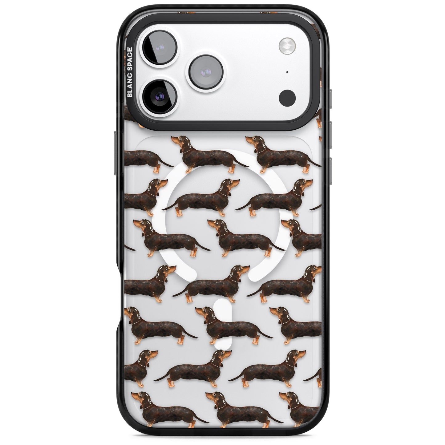 Dachshund Pattern Black Tan