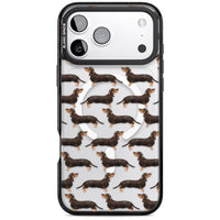 Dachshund Pattern Black Tan