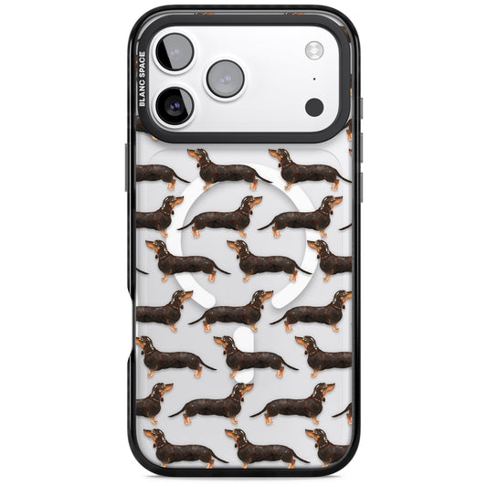 Dachshund Pattern Black Tan