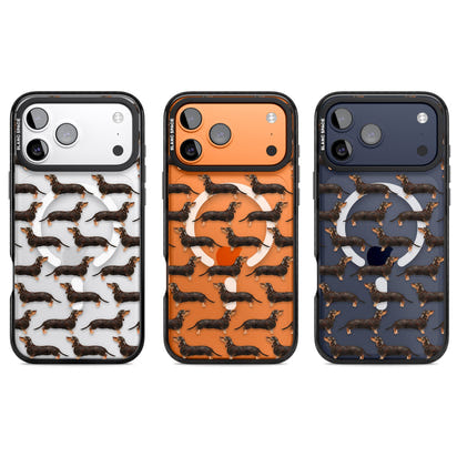 Dachshund Pattern Black Tan