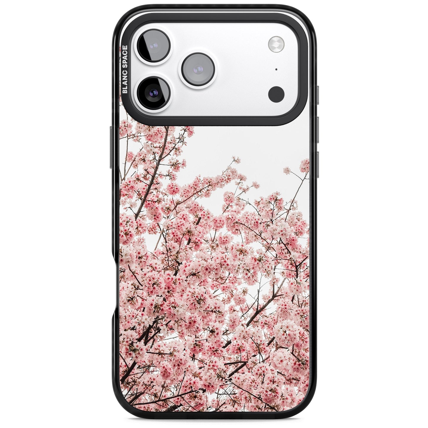 Cherry Blossom Bloom