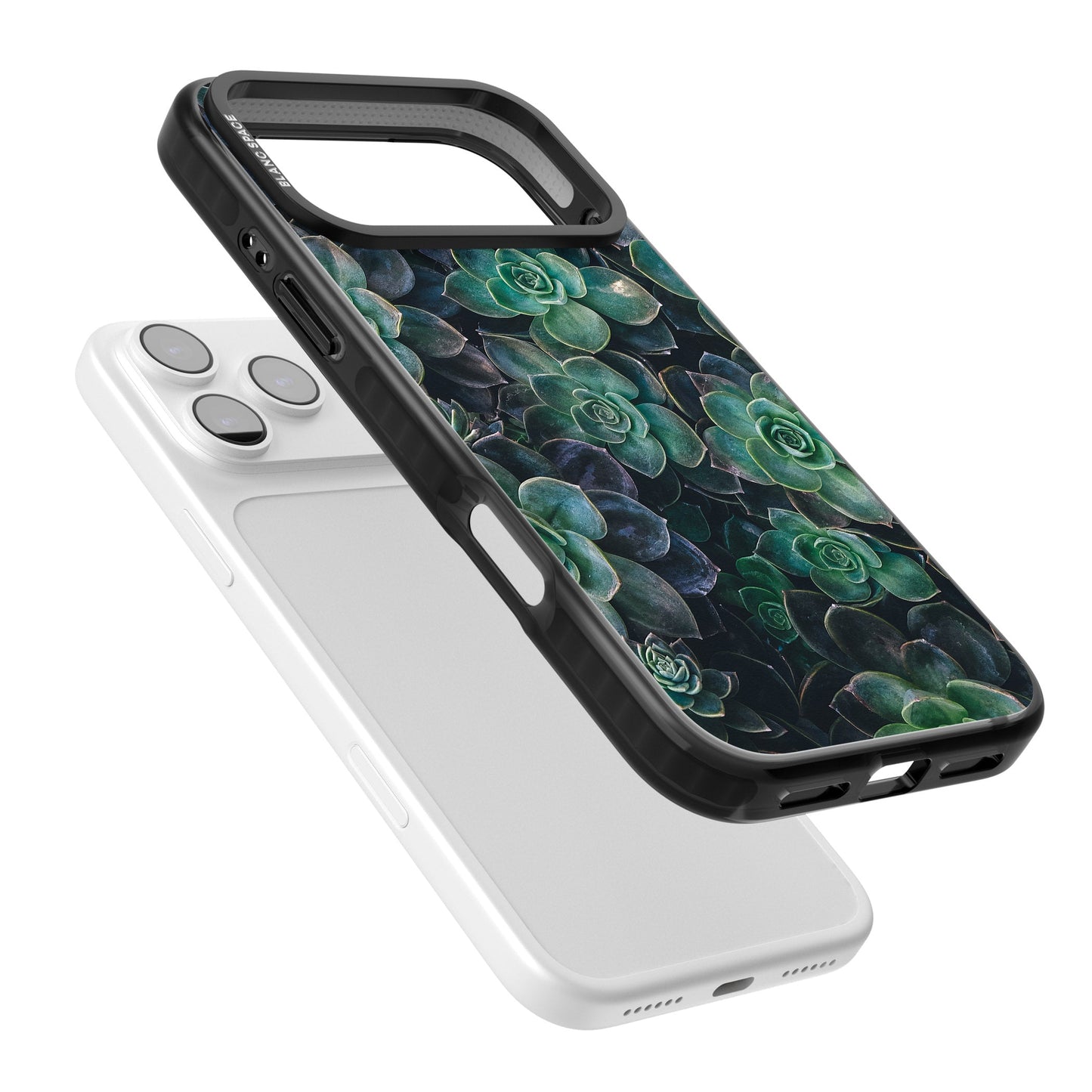 Succulent Bloom Botanical