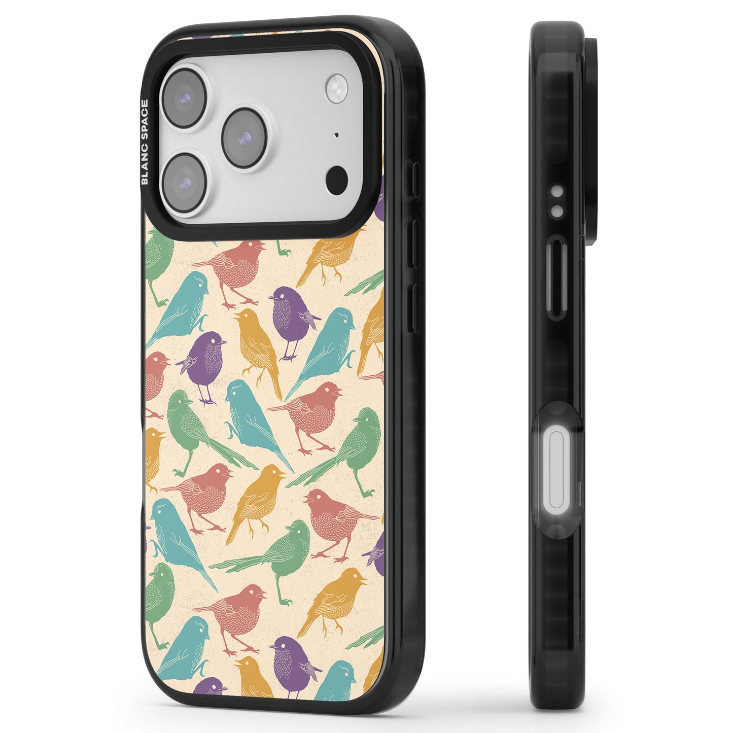 Colorful Feathered Friends