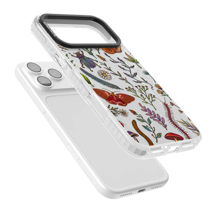 Insectes et fleurs sauvages