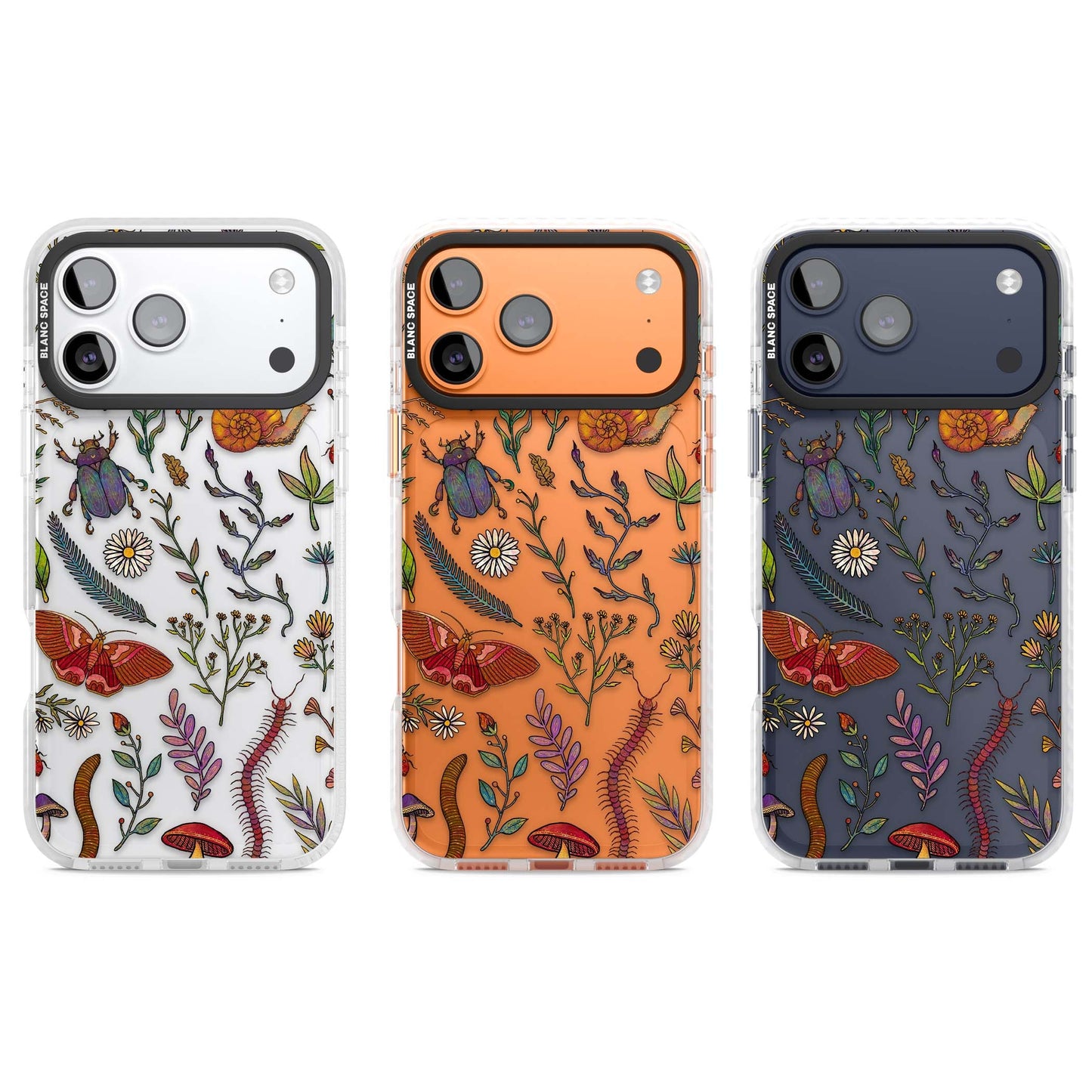 Insectes et fleurs sauvages