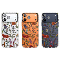 Insectes et fleurs sauvages