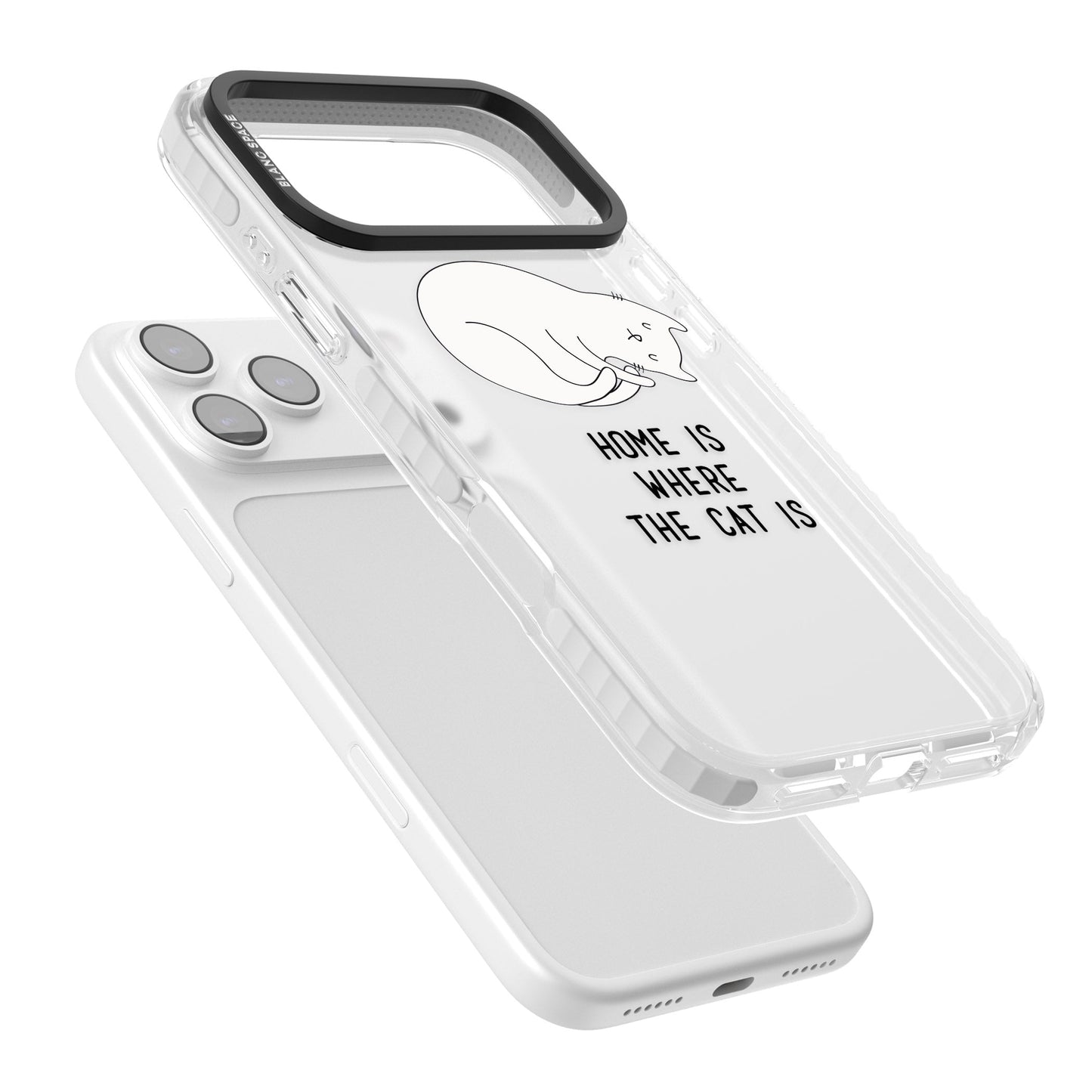 Home Is Where The Cat Is