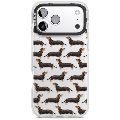 Dachshund Pattern Black Tan