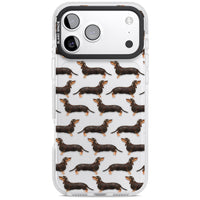 Dachshund Pattern Black Tan