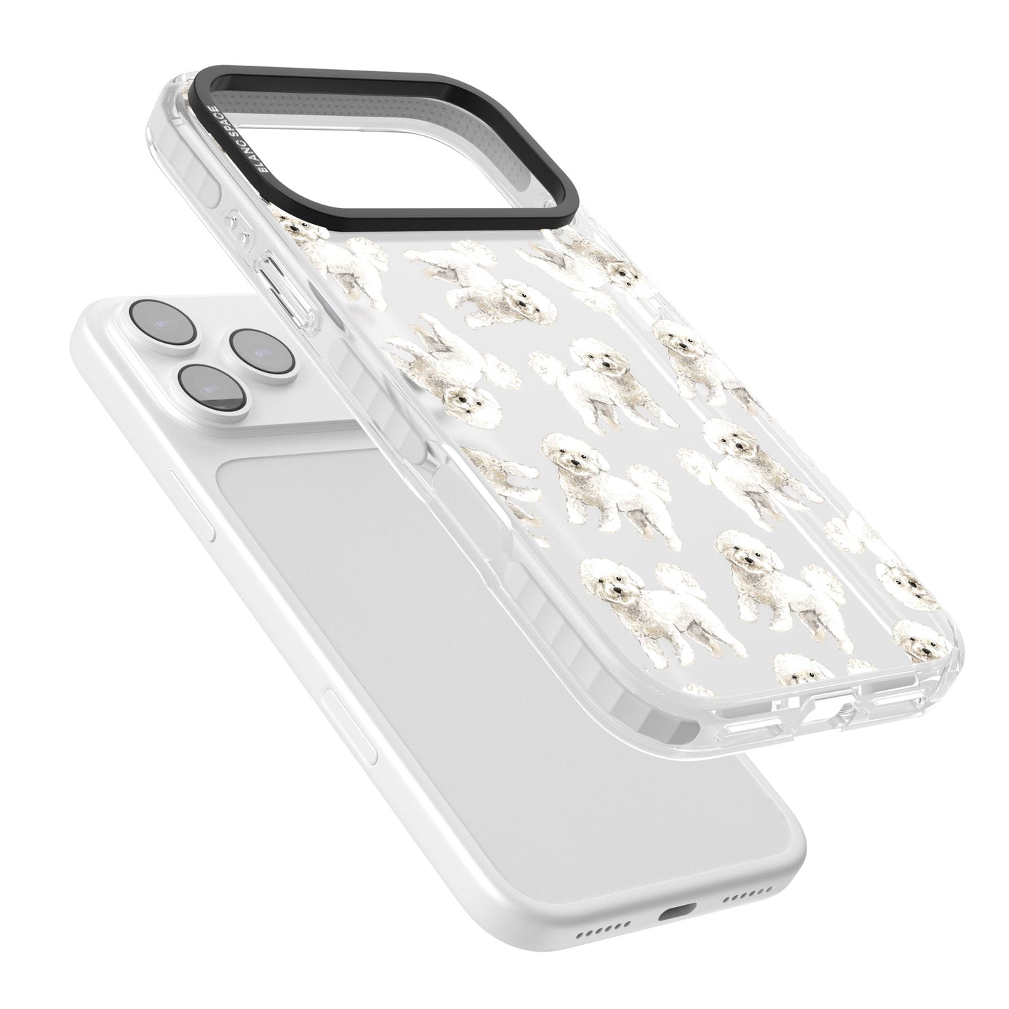 Bichon frisé aquarelle