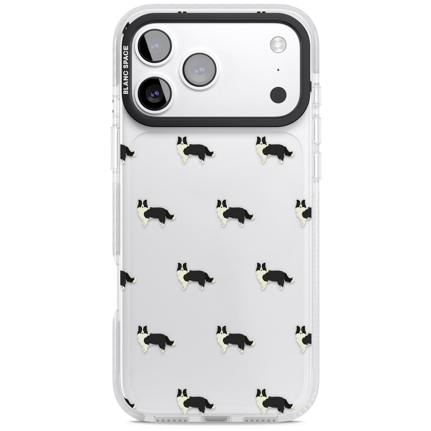 Border Collie Pattern Clear