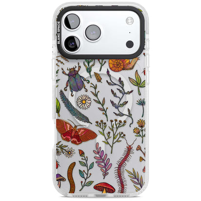 Insectes et fleurs sauvages