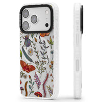 Insectes et fleurs sauvages