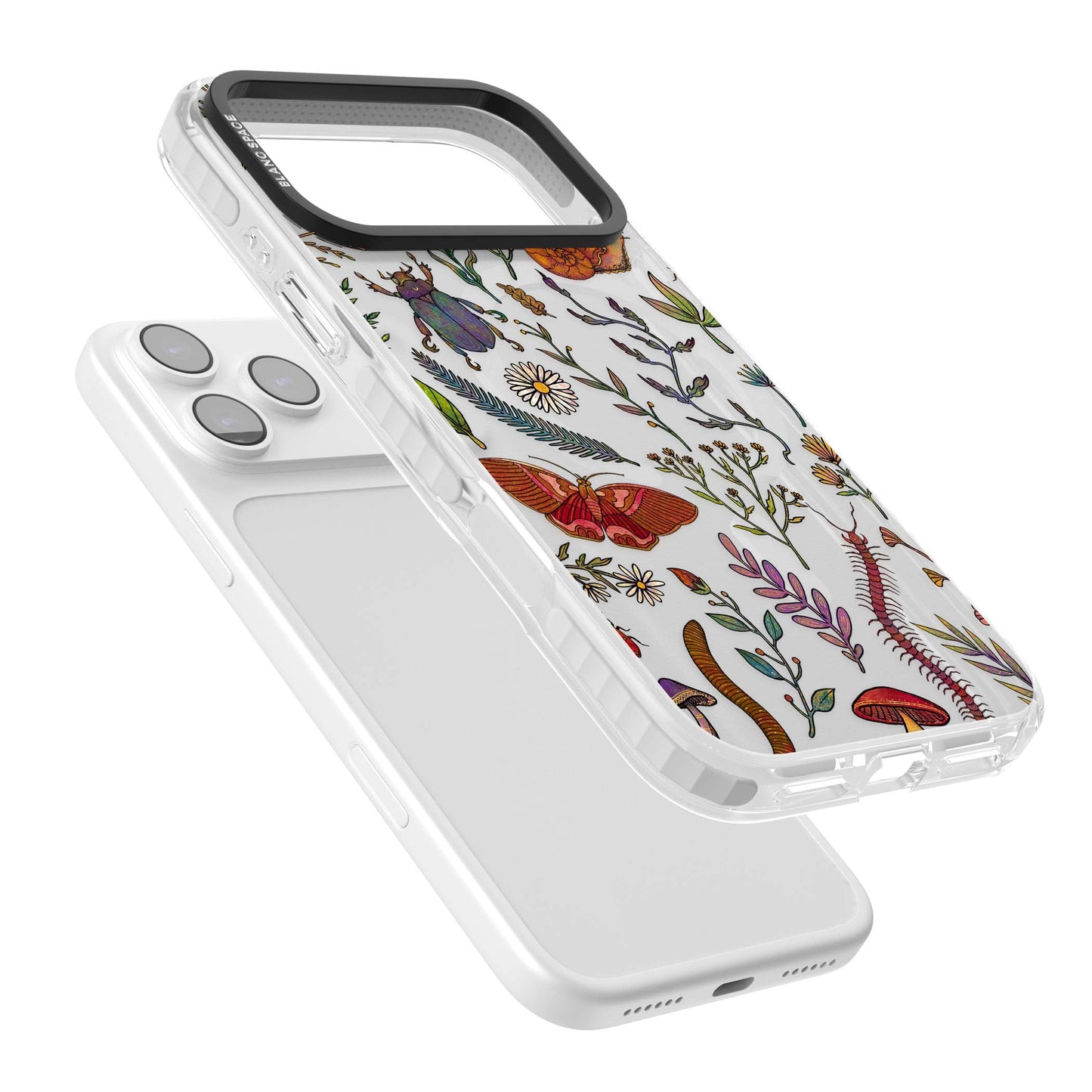 Insectes et fleurs sauvages