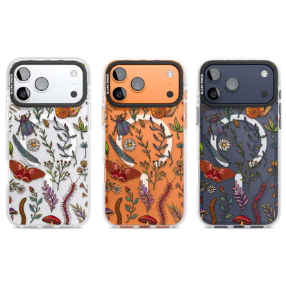 Insectes et fleurs sauvages