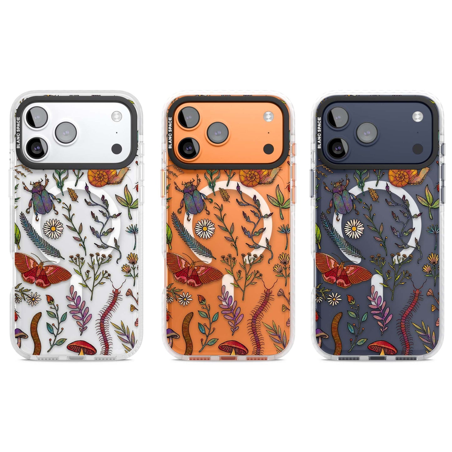 Insectes et fleurs sauvages