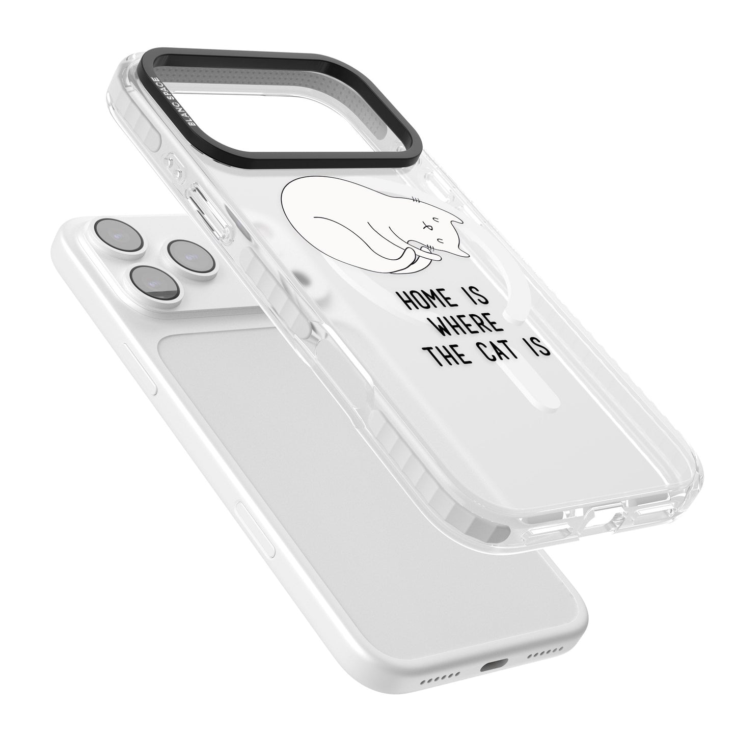 Home Is Where The Cat Is