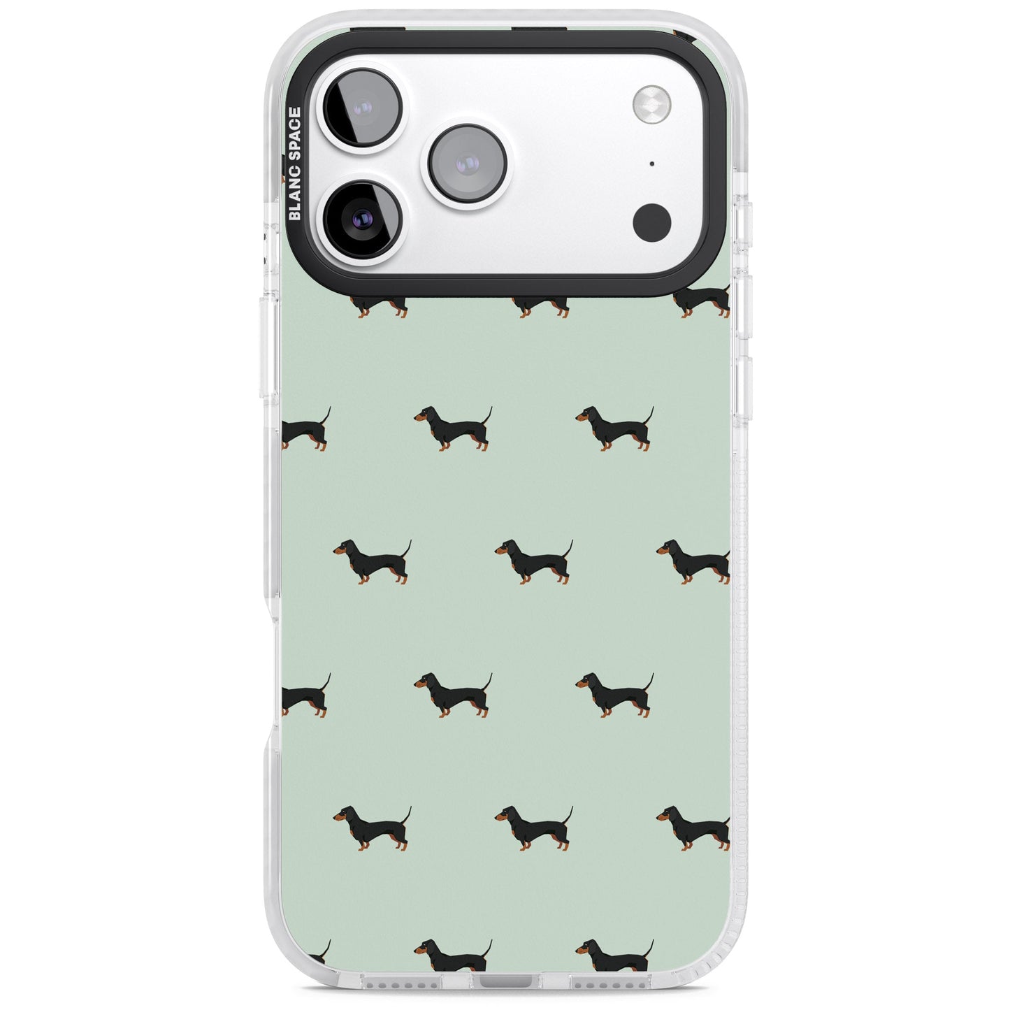 Dachshund Dog Pattern