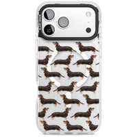 Dachshund Pattern Black Tan